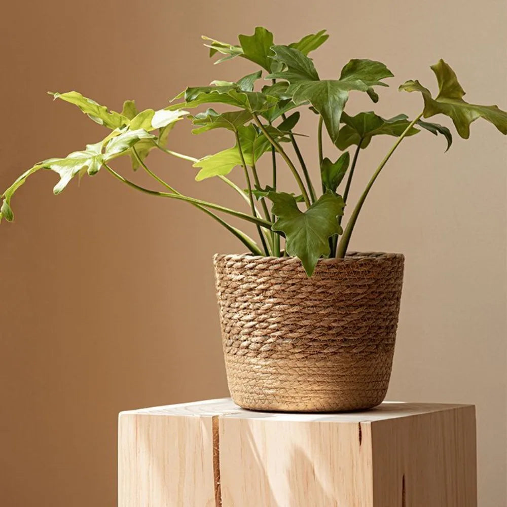 Straw Pot