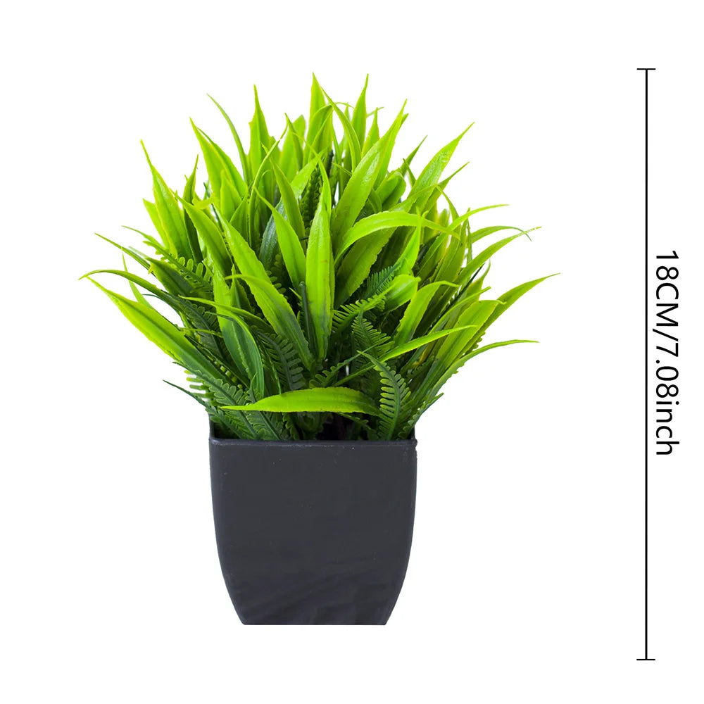 One Fake Plant Black Pot