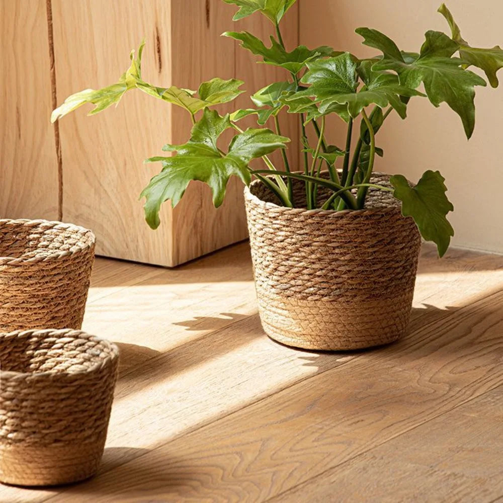 Straw Pot