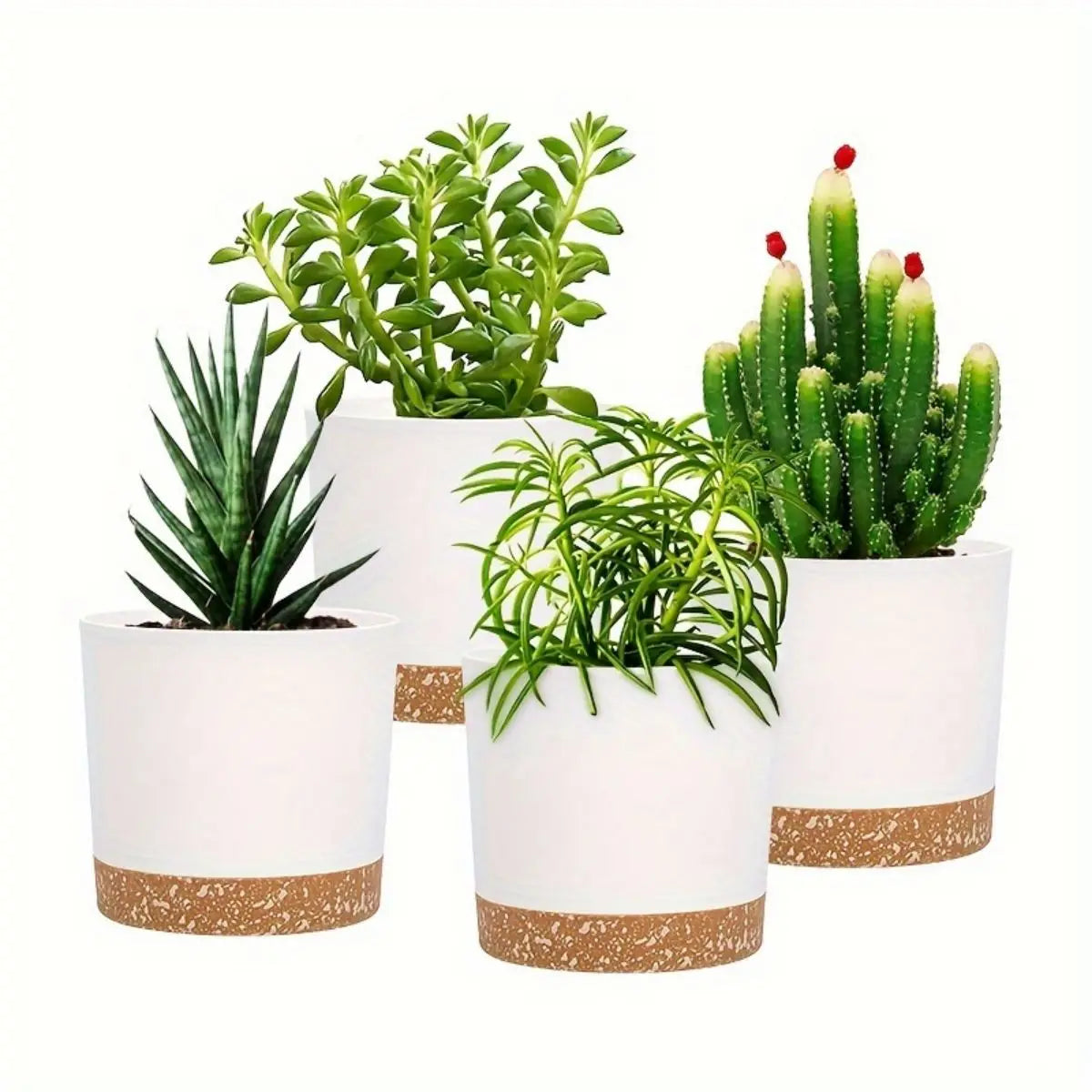 Four White Flowerpots