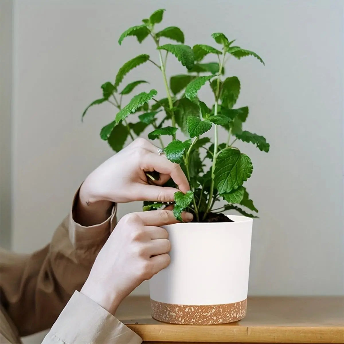 Four White Flowerpots