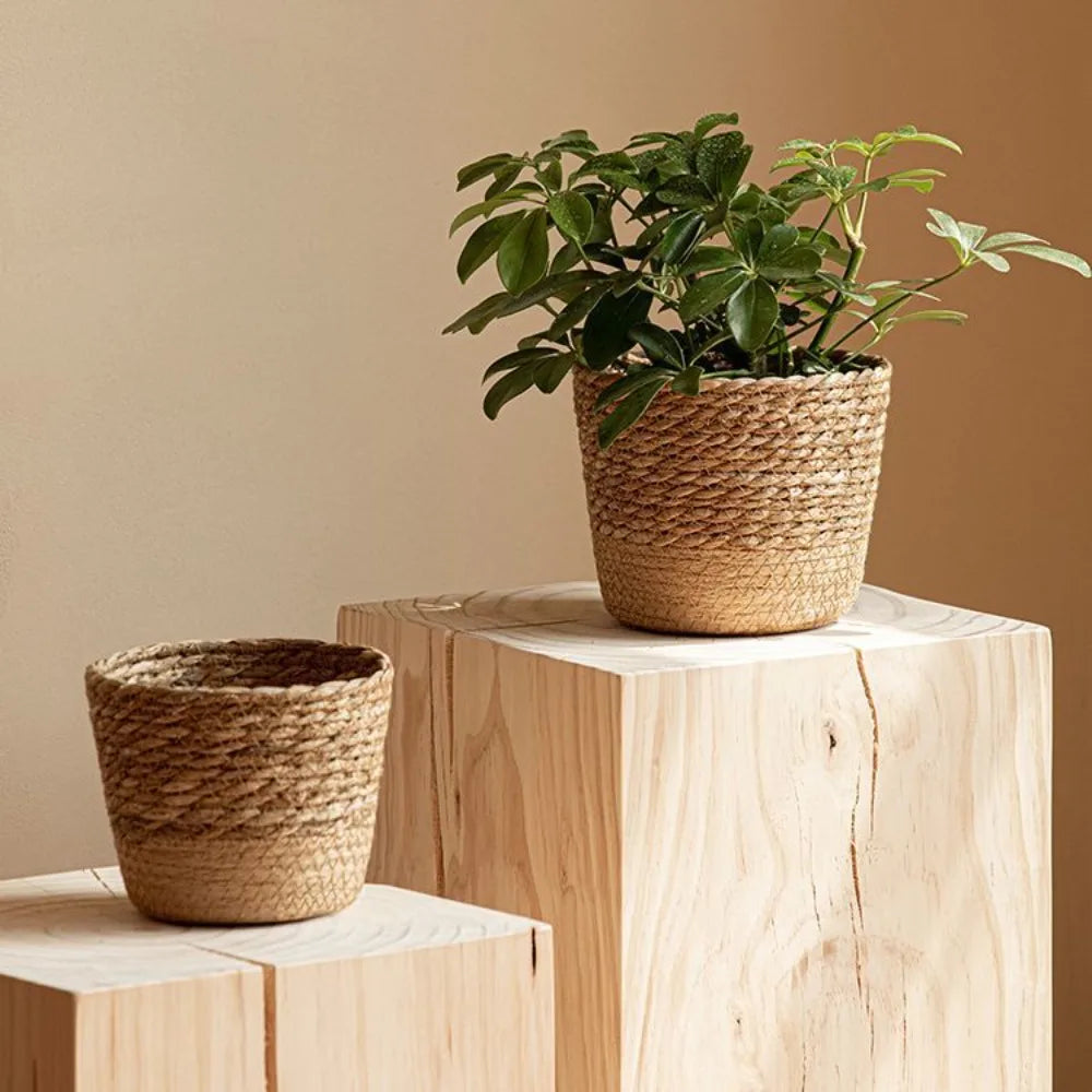Straw Pot
