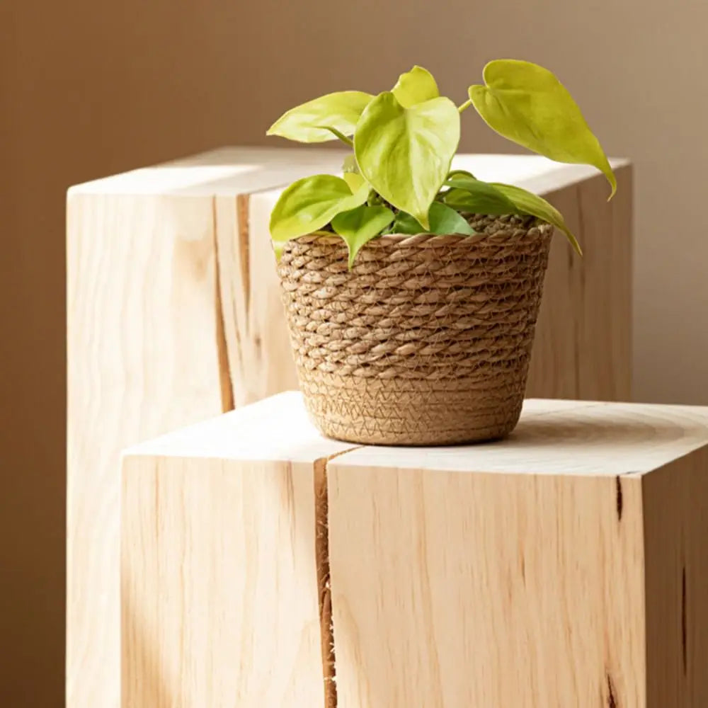 Straw Pot