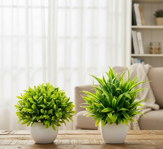Artificial Plants with Plastics Pots