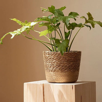 Straw  Pot